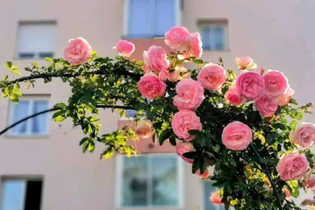 Oasis Marin 1 Proche Parking Wifi Appartement Cagnes-sur-Mer